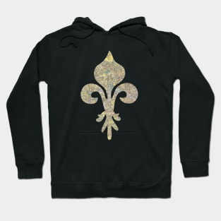 Paris Fleur de Lis Hoodie